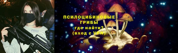 шишки Богородицк